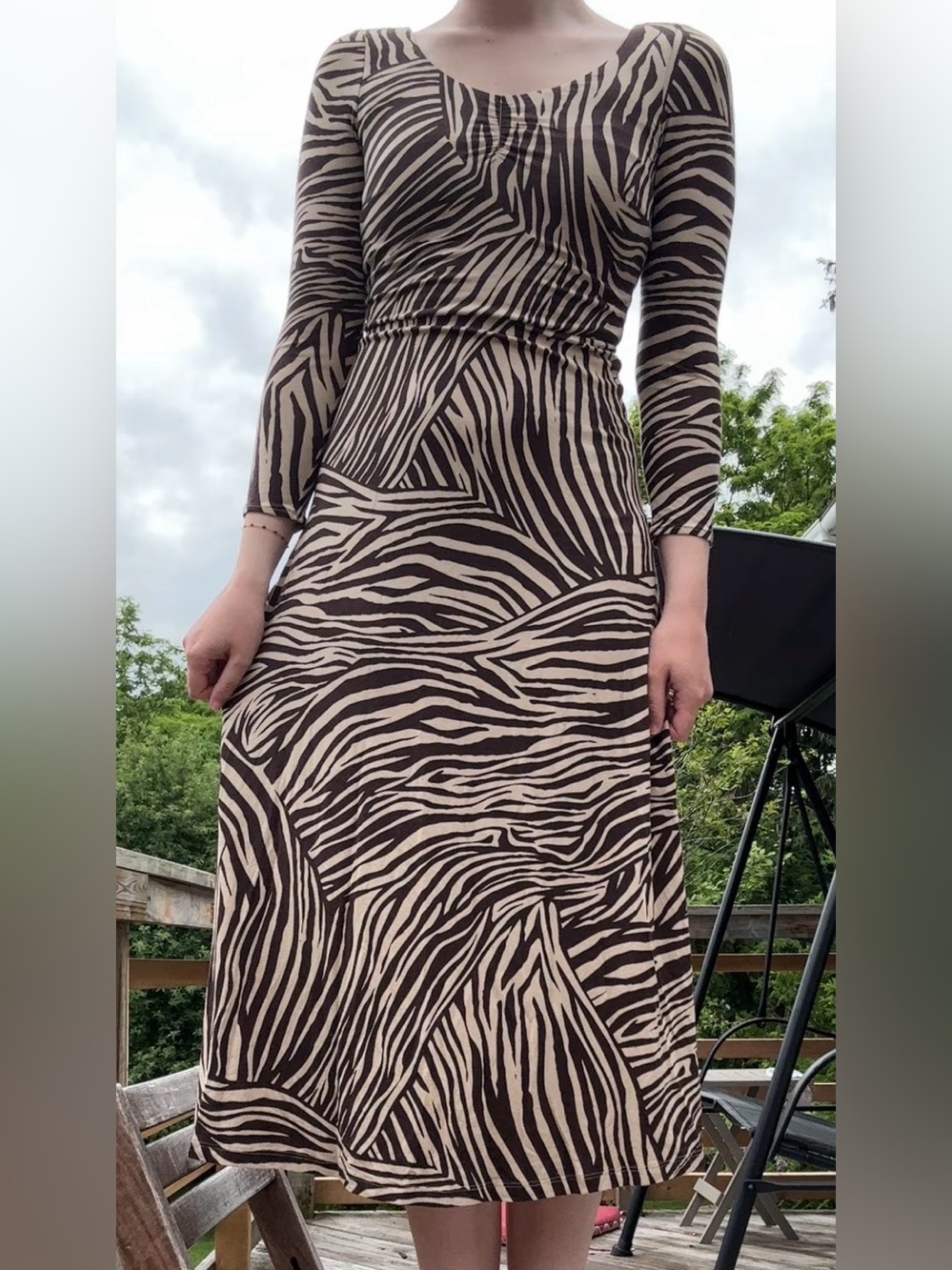 Long Sleeve Zebra-Print Dress in Beige and Black